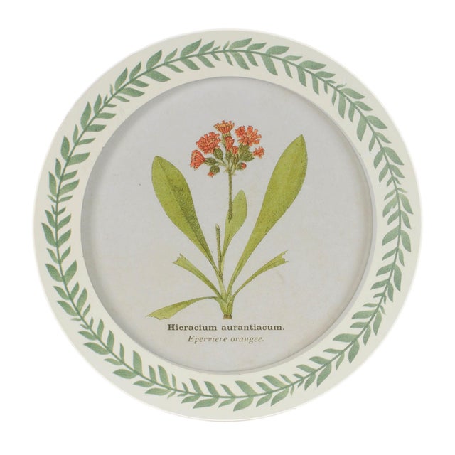 Add a fresh, vintage-inspired touch to your walls with this botanical plaque set, featuring delicate floral illustrations...
