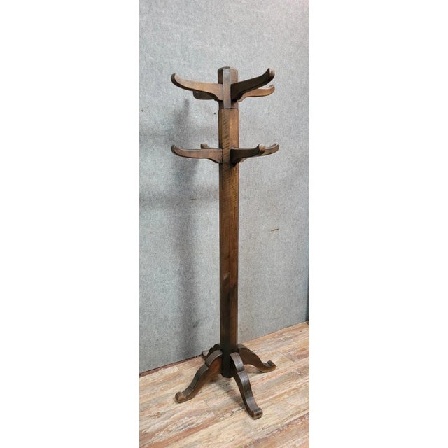 French Parrot Coat Rack in Wood, 1950s For Sale - Image 4 of 5