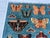 Denim Blue Butterfly Moth Pictorial Hand-Knotted Wool Rug - 4'11" X 6'6" For Sale - Image 10 of 10