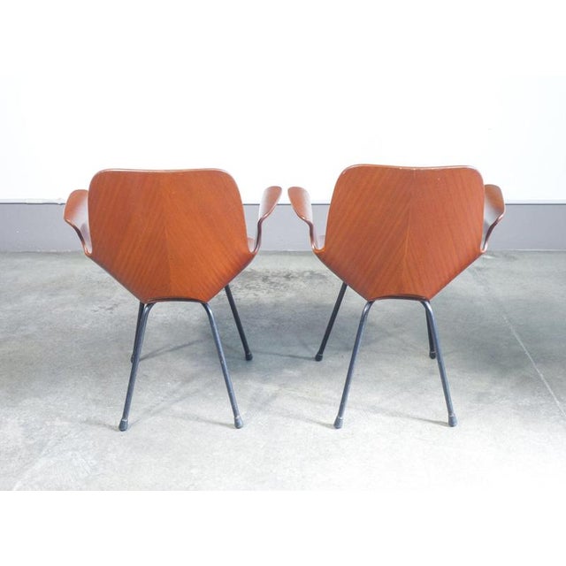 Medea Chairs by V. Nobili for Tagliabue, Set of 2 For Sale - Image 16 of 18