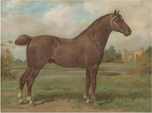 J. L. Goffart after O. Eerelman, Hackney Horse, 1898