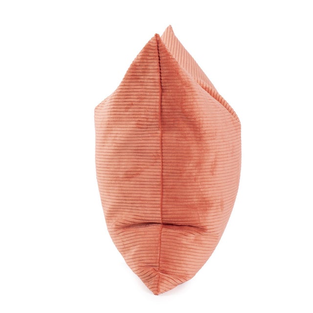 2020s Pillow 20 x 20 Pana Terra - Down Insert For Sale - Image 5 of 11