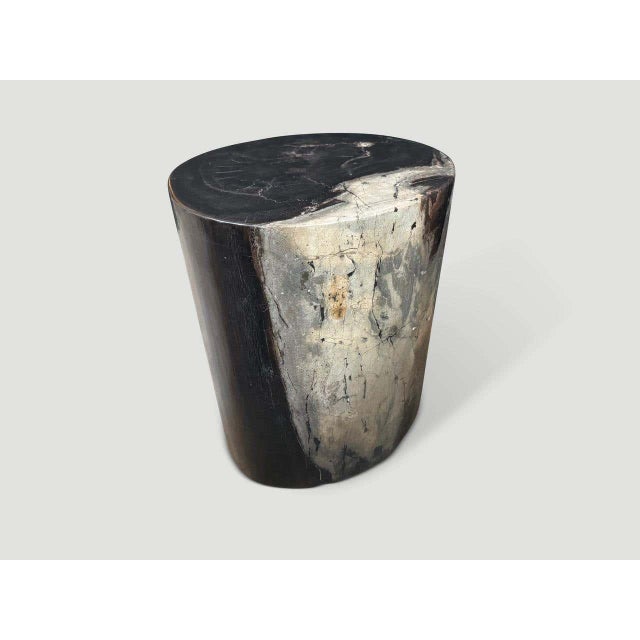 Contemporary Andrianna Shamaris Impressive Ancient Petrified Wood Side Table For Sale - Image 3 of 6