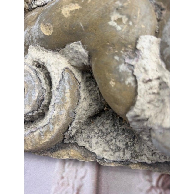Antique 19th Century French Architectural Fragment For Sale - Image 10 of 13