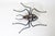 Hand-Forged Cross Spider Wall Lamp, 1960s For Sale - Image 16 of 17