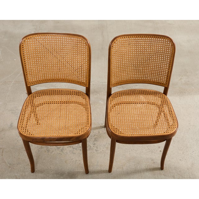 1920s Set of Six Thonet Bentwood Prague Dining Chairs by Josef Hoffmann For Sale - Image 5 of 18