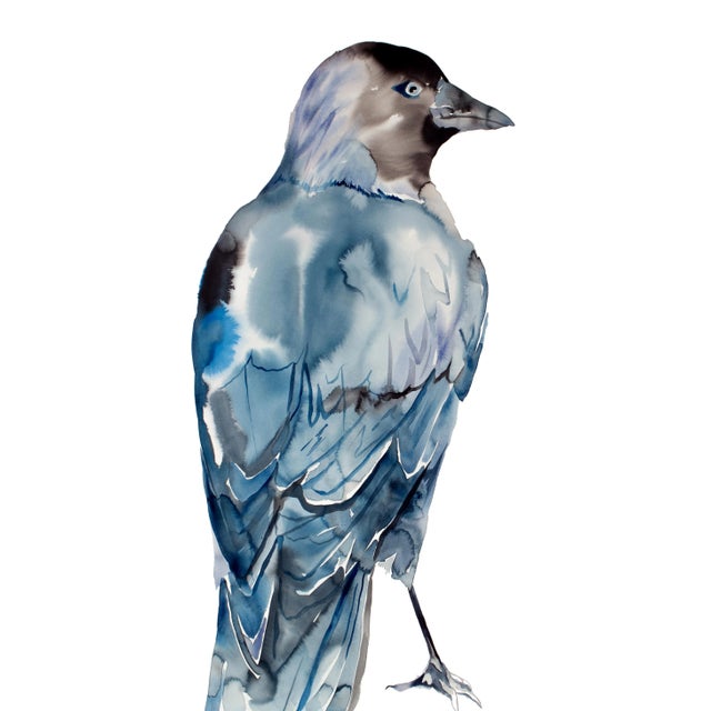 "Jackdaw" Contemporary Original Bird Watercolor Painting by Elizabeth Becker For Sale