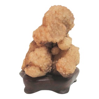 Gobi Agate Specimen on Wooden Stand For Sale