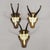 Wood Vintage Set of Six Chamois Trophies on Shaped Plaques, Germany Ca. 1960s For Sale - Image 7 of 7