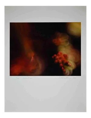 Harold Miller Null, Photographic Exhibition Print, 1988