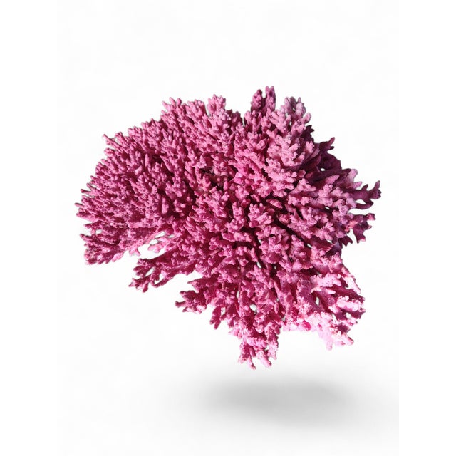 Realism Vintage Pink Coral For Sale - Image 3 of 3