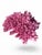 Realism Vintage Pink Coral For Sale - Image 3 of 3