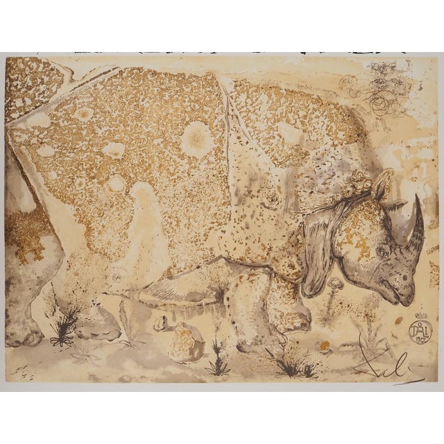 Salvador Dali, Rhinoceros, Homage to Albrecht Dürer, Signed Lithograph For Sale - Image 5 of 8