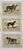Illustration 1907 French Photogravure Prints - Collection of Nine Hunting Dogs #1 - For Sale - Image 3 of 5