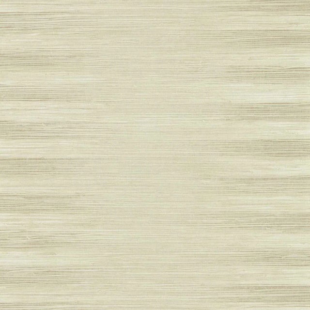 Zoffany Kensington Grasscloth Wallpaper in Paris Grey - a Sample For Sale