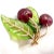 Vintage Tiffany & Co. France Diamond Plique a Jour Glass Cherries Gold Brooch For Sale - Image 11 of 16