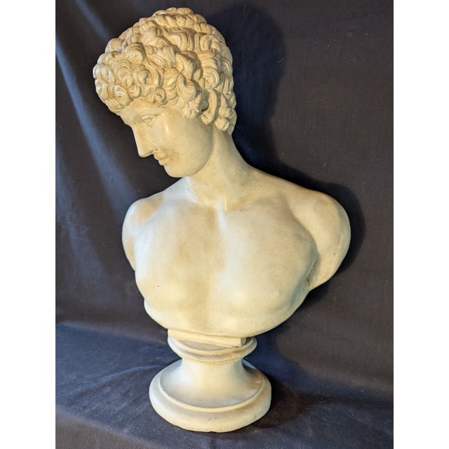 Plaster Bust of Antinous For Sale - Image 4 of 6