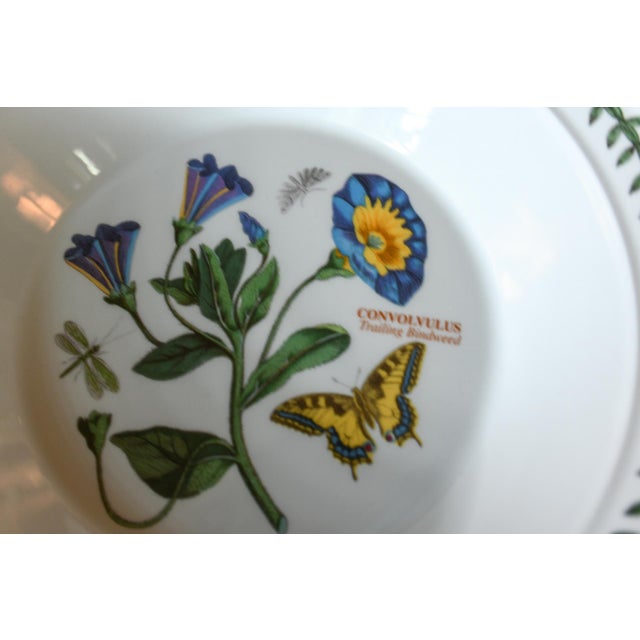 Vintage Portmeirion Botanic Garden Pasta Bowls Set of 2 For Sale In Washington DC - Image 6 of 6
