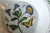 Vintage Portmeirion Botanic Garden Pasta Bowls Set of 2 For Sale In Washington DC - Image 6 of 6
