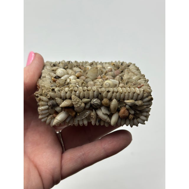 This tiny vintage shell art piece appears to be a box but doesn’t open! But it is lovely and doesn’t need to! This was...