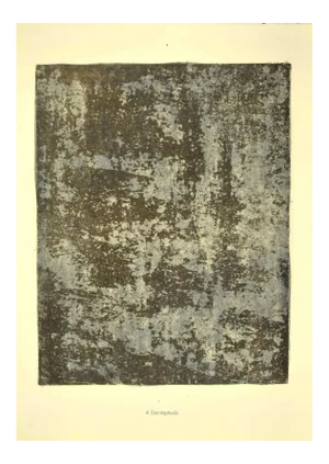 Jean Dubuffet, Decay, Original Lithograph, 1959