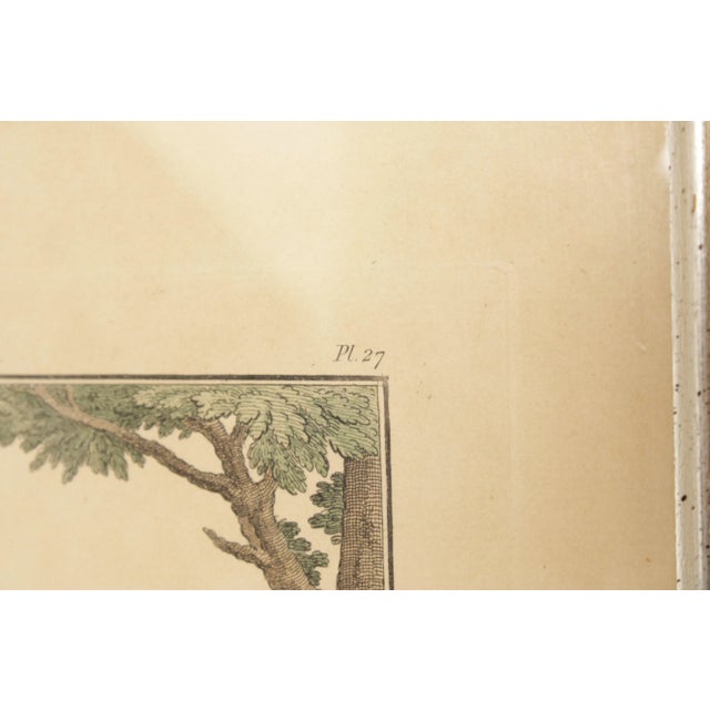 Antique 18th C. French Engraving, Gallerie des Modes et Costumes Frantais For Sale In Philadelphia - Image 6 of 12