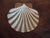 Chinese 18th Century Chinese Export Famille Rose Porcelain Scallop Shell Shape Bowl For Sale - Image 3 of 11