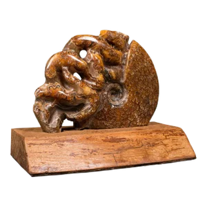 1970s Late 20th Century Vintage Carved Decorative Ammonite, African, Fossil, Display, Cretaceous