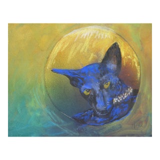 Blue Cat For Sale
