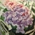 Vintage Hydrangea Blossoms Floral Needlepoint Accent Pillow For Sale - Image 4 of 6