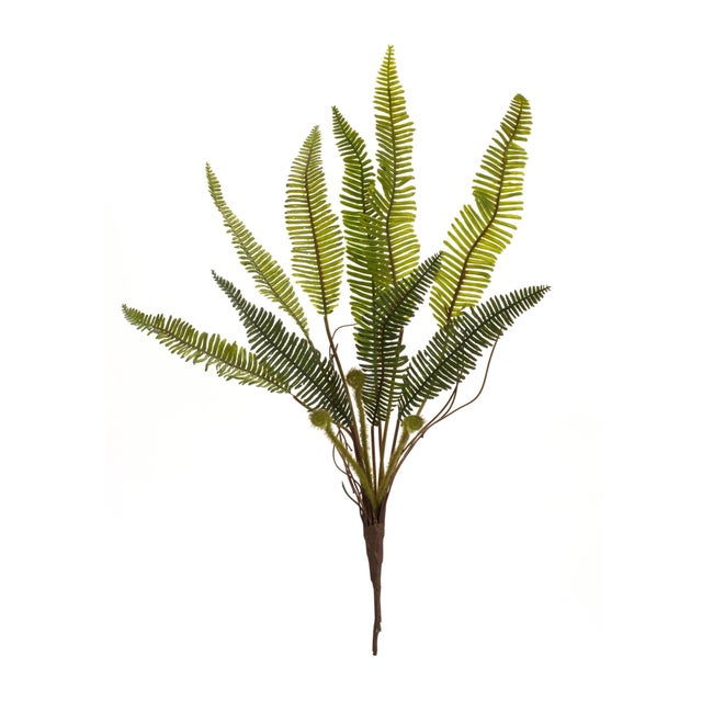 Rustic Varigated Fern Foliage Bush (Set of 6) For Sale - Image 3 of 3
