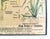 Beige Vintage Teaching Chart Plantes by Emile Deyrolle, Paris, 1950s For Sale - Image 8 of 10