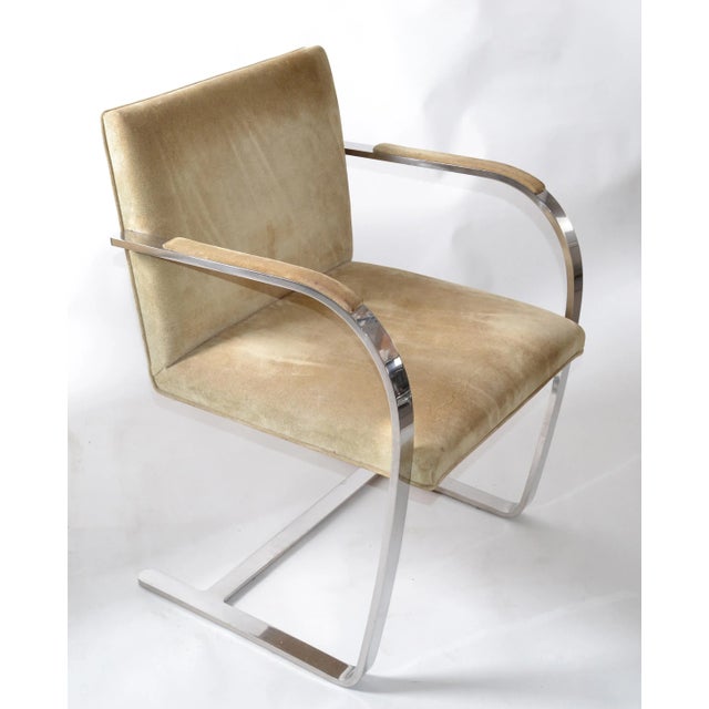 1970s Mies Van Der Rohe for Knoll Beige Ultrasuede Stainless Steel Brno Chairs - Pair For Sale - Image 5 of 13