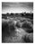 Paul Cooklin, Beach Huts, Walberswick, Southwold, Suffolk, Edition of 50 For Sale