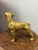 Early 20th Century Vintage English Brass Dog For Sale - Image 5 of 6