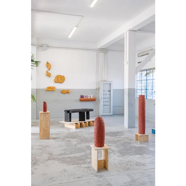 Brown Volume 02 Shelf in Light Brown Orange Stained Abachi Wood by Tellurico For Sale - Image 8 of 11