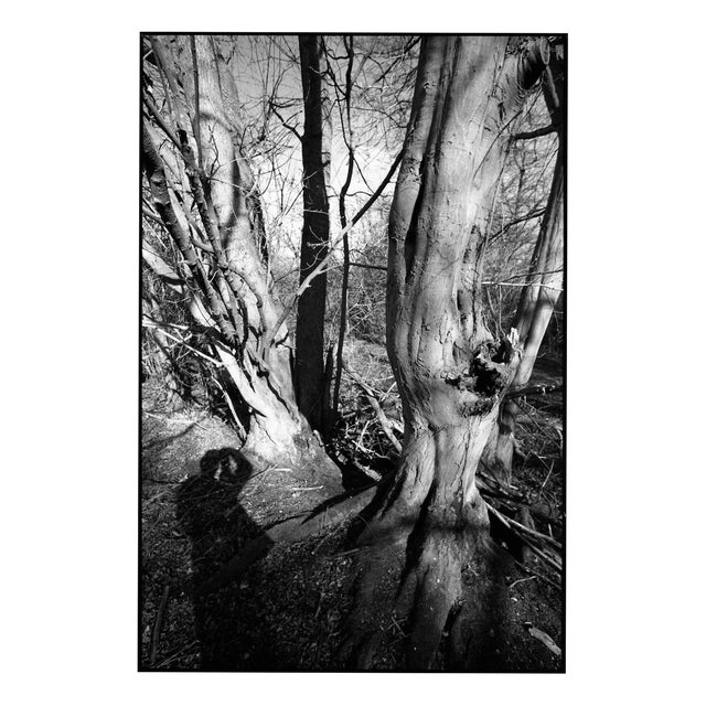 Paul Cooklin, Shadow Selfie, Edition of 50 For Sale