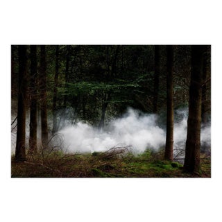 Between the Trees 10, Ellie Davies, 2014 For Sale