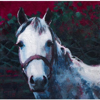 Hello Dolly by Tracy Wall | Mixed Media on Gallery-Wrapped Canvas Horse portrait with dark background For Sale