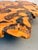 Late 20th Century Live Edge Burl Wood Coffee Table With Glitter Epoxy For Sale - Image 13 of 13
