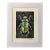 Original Hand-Carved Linocut Beetle With Watercolor - Verdigris Variant For Sale