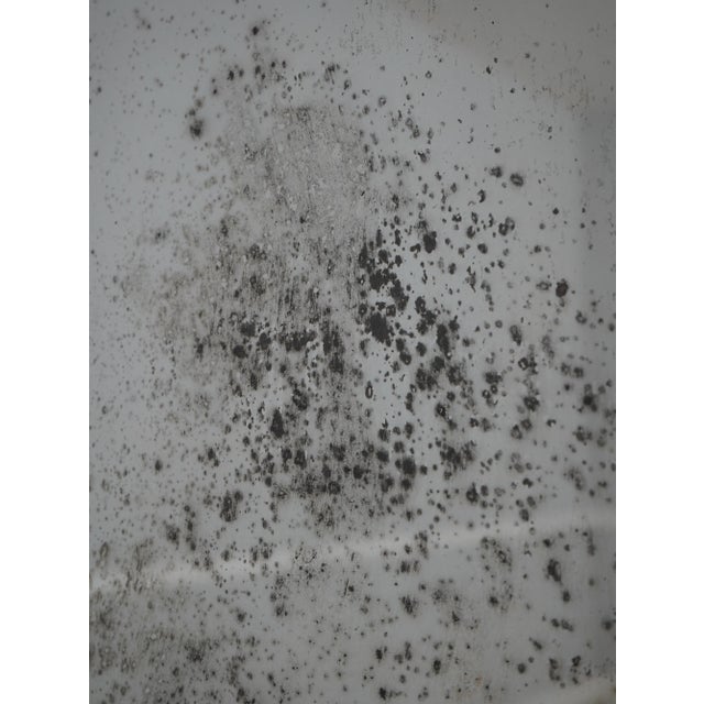 Friedman Brothers Neoclassical Black & Gold Wall Mirror For Sale - Image 9 of 11