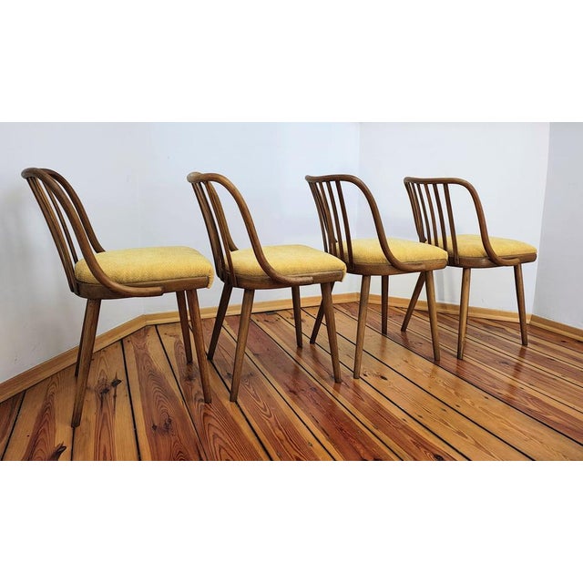 Dining Chairs attributed to A. Suman for Tatra Nabytok, Czechoslovakia, 1960s, Set of 4 For Sale - Image 8 of 18