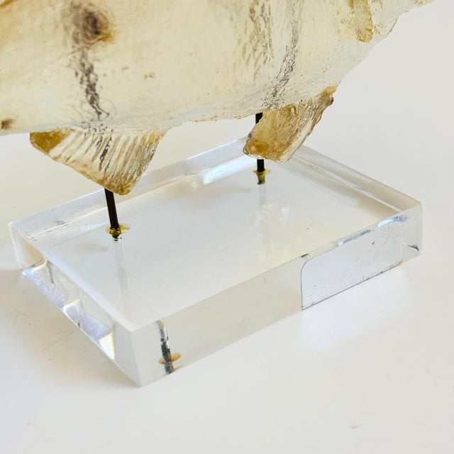 Transparent Vintage Acrylic Fish Sculpture For Sale - Image 8 of 11