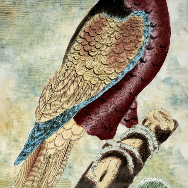 Blue Vintage Porcelain Vase With Birds or Parrots by John Derian For Sale - Image 8 of 12