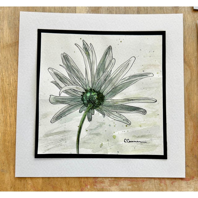1990s Set of 4 Prints of Watercolor and Ink Drawings 4 White Daisies For Sale - Image 4 of 10