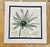 1990s Set of 4 Prints of Watercolor and Ink Drawings 4 White Daisies For Sale - Image 4 of 10