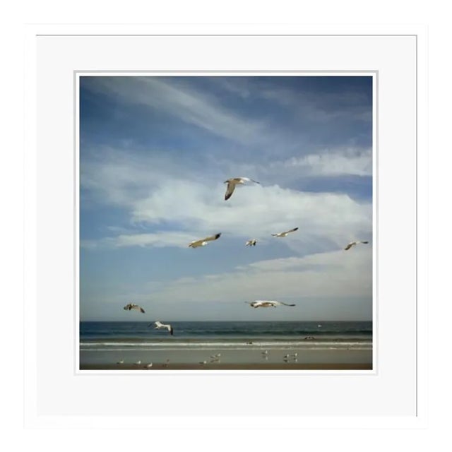 San Diego Gulls 1956 by Slim Aarons White Framed C Print For Sale