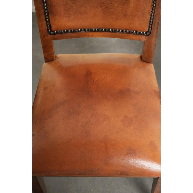 Sheepskin Dining Chairs in Warm Cognac Color with Decorative Nails, Set of 6 For Sale - Image 6 of 18