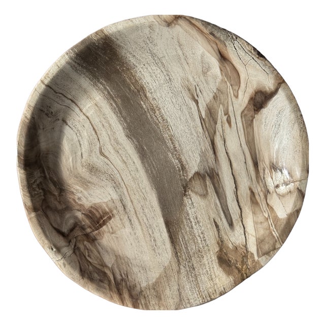 Trinket Dish in White Striped Grey Petrified Wood, 1980s For Sale